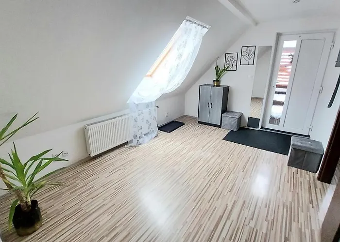 Apart Otel Pre 5-6 Osob, Privatne Parkovanie A Terasa 3*